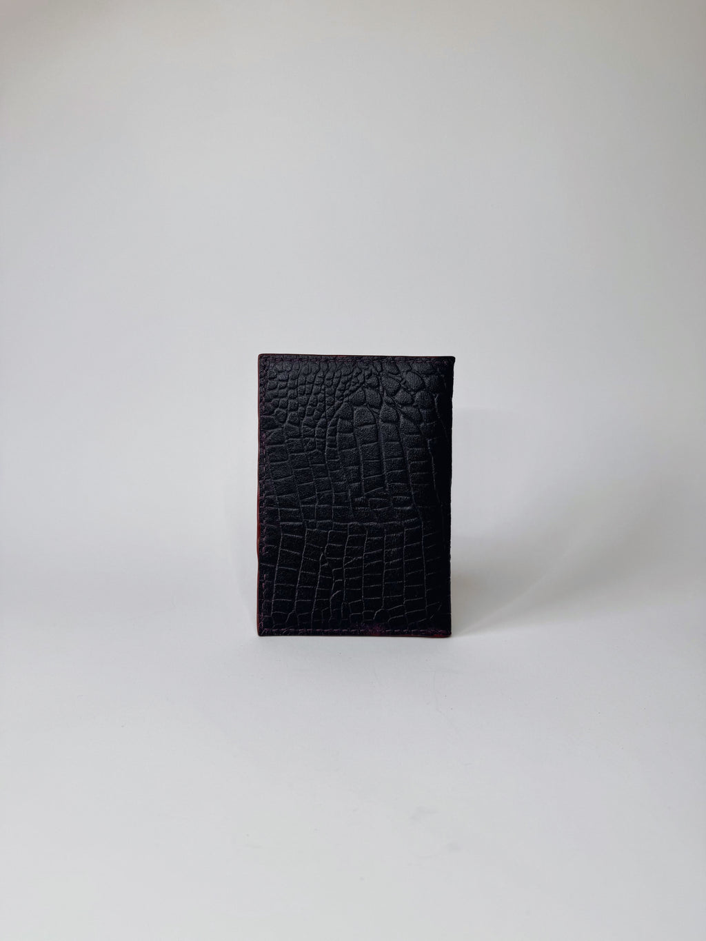 PASO · PASSPORT HOLDER