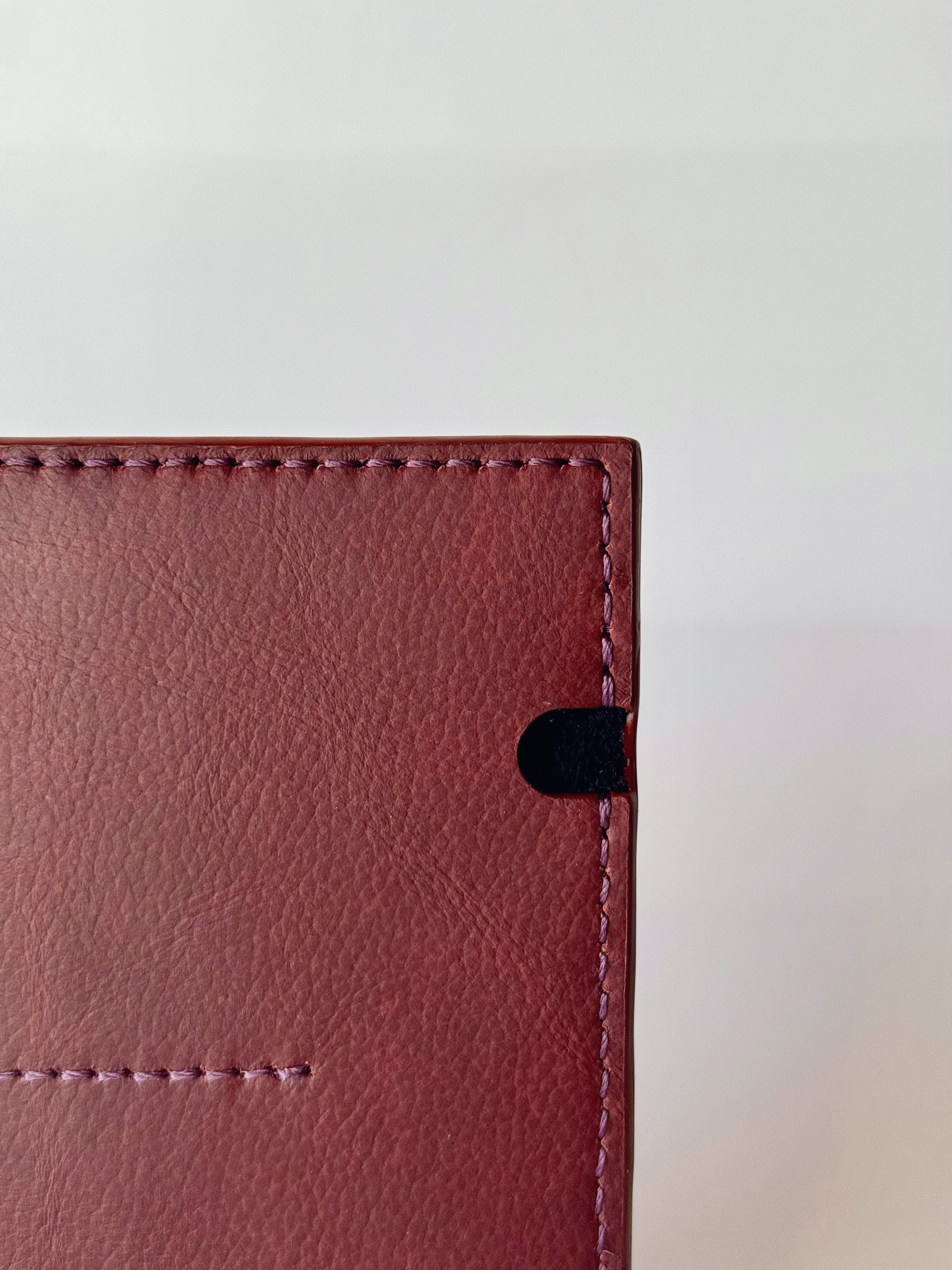 PASO · PASSPORT HOLDER